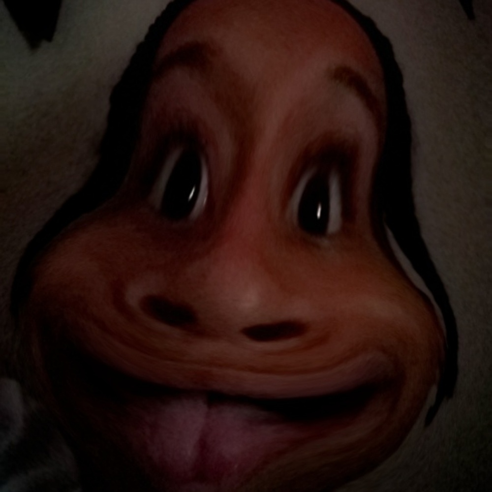 Meet your Posher, Ty